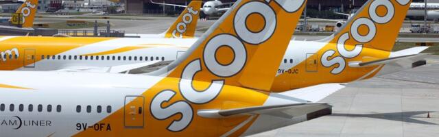 The new breed of long-haul, low-cost airlines: What you need to know