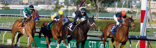 World-famous jockeys to band together in new horse racing league