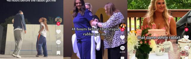 The White Rabbit TikTok trend explained