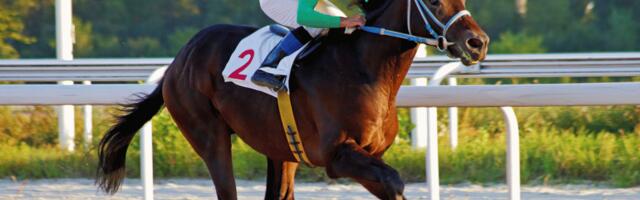 Chicago bankruptcy judge denies emergency hearing request in Hawthorne racetrack Chapter 11