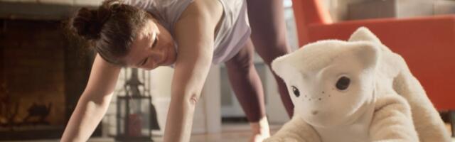 Roomba inventor unveils a companion robot thats more pet than helper