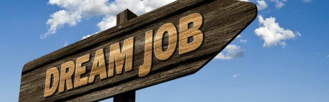 65% of Ireland’s workers regret not chasing their dream job