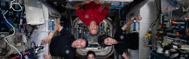 An small microbial ecosystem has formed on the International Space Station