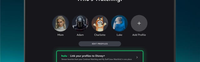 Hulu bundle subscribers can now access their watch history and recs in the Disney+ app