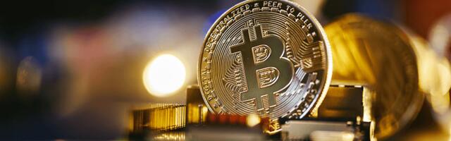 Bitwala CEO “zero” confidence that investor confidence is back behind crypto but thinks relaunched app will fly