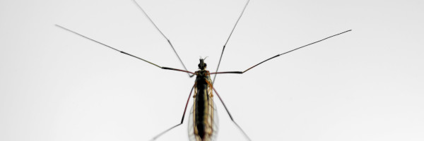 Microsoft launches Premonition, its hardware and software platform for detecting biological threats