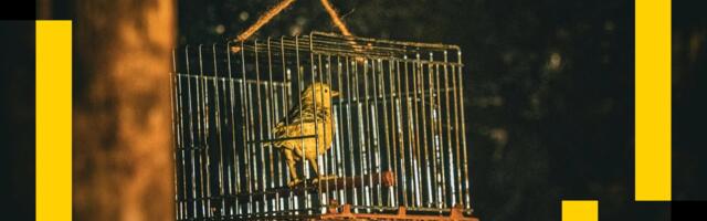 The Canary in the Coalmine: Crypto Daybook Americas