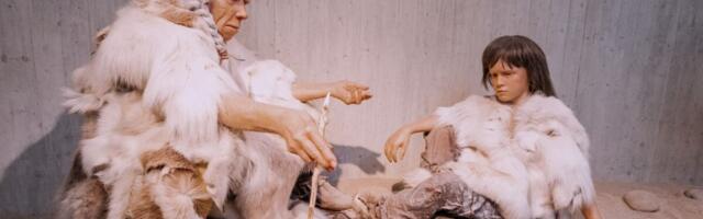 New Evidence Suggests Neanderthals Cannibalized Outsider Women and Children