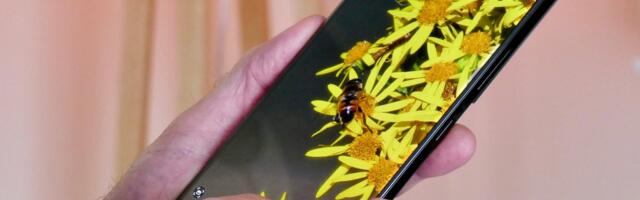 Galaxy S21 support is winding down, what it means for your security updates