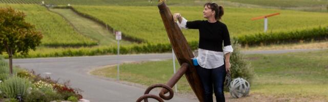 How one Napa vineyard might have saved millions of dollars by using birds as pest control