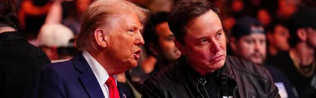 Photos show Donald Trump and Elon Musk's post-election bromance