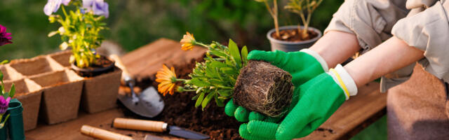 10 Amazon Gadgets And Tools For Gardeners Under $10 That Are Actually Worth Buying