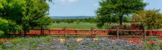 As a Texas local, I skip the crowds in Austin and head west to a charming nearby city with incredible wineries