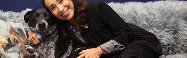 Miyoko’s Creamery founder loses fight to buy back her Petaluma vegan dairy brand