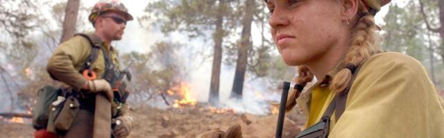 The exploding costs of fighting US wildfires