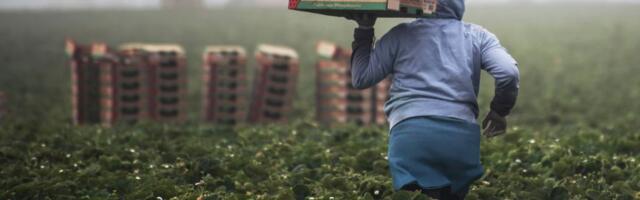 Alberta Innovates launches $10 million agri-food, bioindustrial funding program