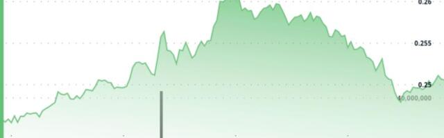 DOGE Rejected at $0.26, Slides 2% as Profit-Taking Hits