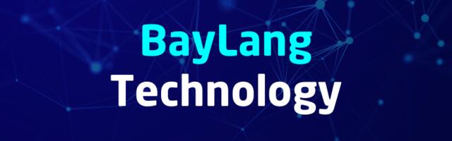 Технология разработки веб приложений BayLang