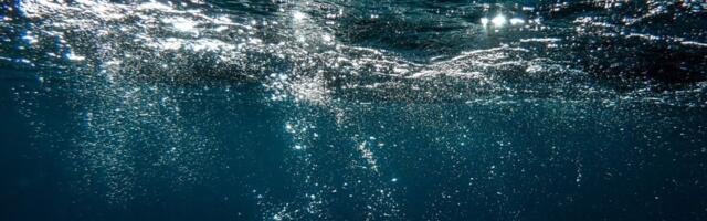 Earth’s Oceans Are Rapidly Losing Oxygen. It Could Destabilize the Planet