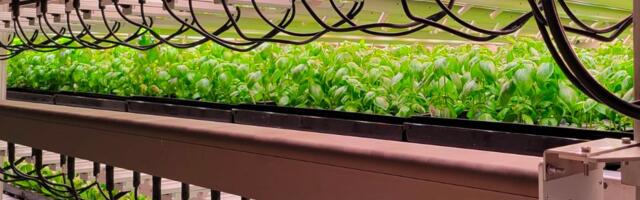 Vision Greens raises $7 million CAD for NASA vertical farming tech