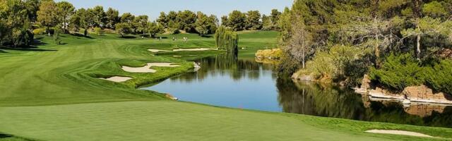 A Positive Outlook for 2025!