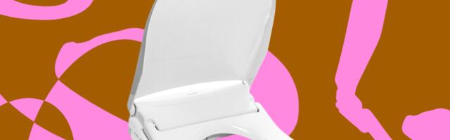 Brondell Swash Thinline T44 bidet review: king of the throne