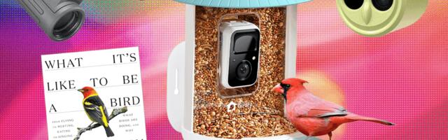 The 19 Best Tried and Tested Gifts for Bird Lovers (2025)