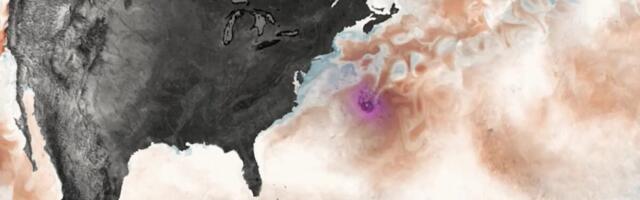 The Surprising Way Hurricanes Pump Carbon Into the Air—and Life Into the Ocean