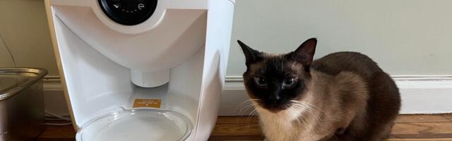 The Whisker Feeder Robot Solved My Cat Feeding Anxiety When I'm Away From Home