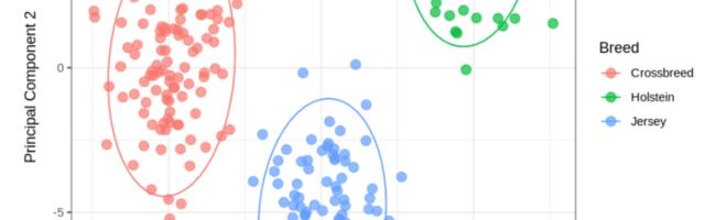 Data-driven корова: как мы строим SaaS для геномной селекции и решаем проблемы «грязных» данных в агротехе