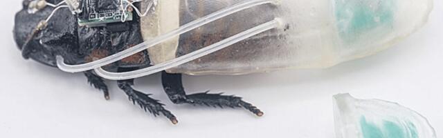 Scientists Built Amphibious Cyborg Cockroaches and We Regret to Inform You They Work