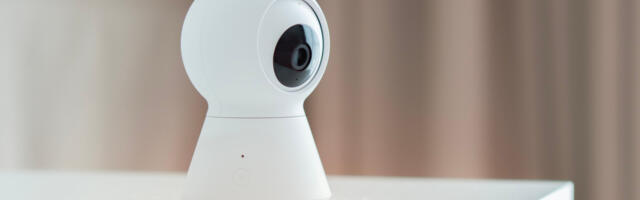 Don't Throw Out Your Old Security Camera – Turn It Into A Smart Bird Feeder Instead