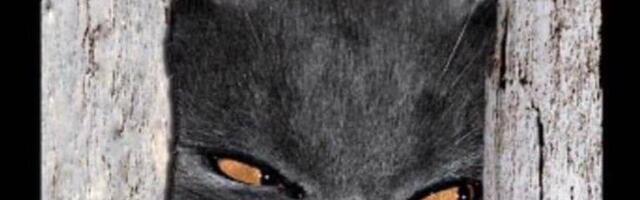 Фитнес план для PostgreSQL своими руками: как похудеть, когда нет доступа к pg_repack и pgcompacttable