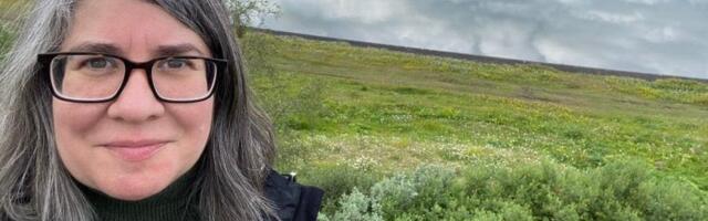 I'm an American who's lived in Iceland for 14 years. Here are 6 of the best things to do here.