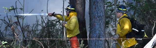 Deadly Maui wildfires: Here are some ways to help or donate