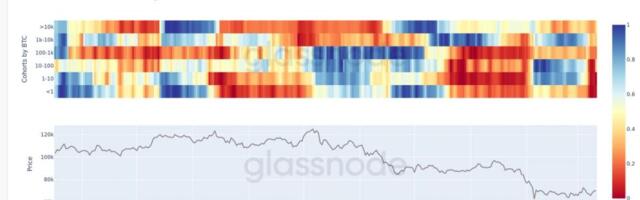 Bitcoin selling intensifies across all wallet sizes despite price holding near $70,000