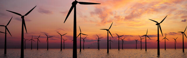 Patch lands £47m Series B for carbon credit software