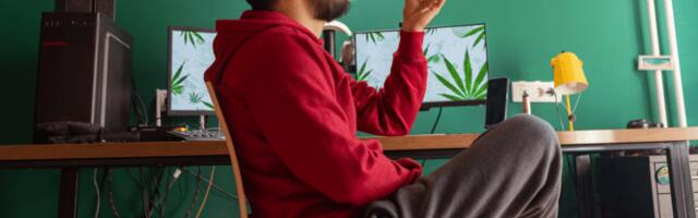 High on innovation: 10 European startups unlocking the transformative power of cannabis