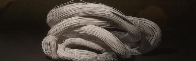How to get Silk in Black Myth: Wukong