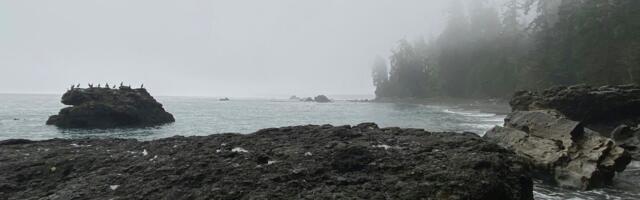 Additional Paid-in Capital: Definition and Impact