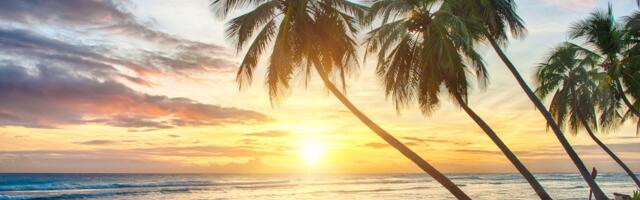 Former Bittrex Execs Raise $40M in Bitcoin to Back Barbados-Licensed Insurance Firm