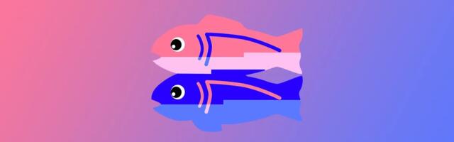 Glitch is basically shutting down