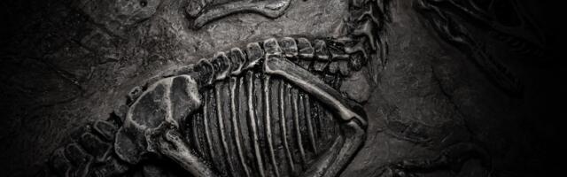 The Theory That Volcanoes Killed the Dinosaurs Is Officially Extinct