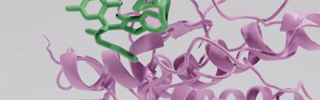 London’s Charm Therapeutics raises $50 million as it takes on cancer treatment