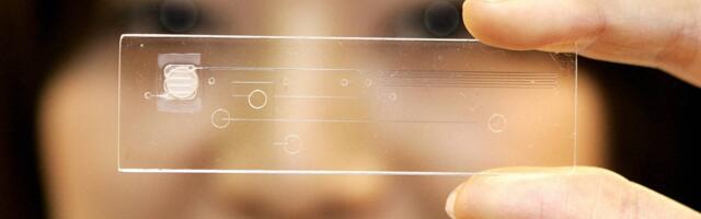 Remember When Nanotech Was the Next Big Thing?