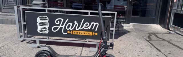 This All-Terrain Electric Scooter Punches Above Its Budget-Friendly Price