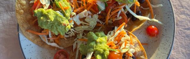 Best Vegan Meal Delivery Services for 2025, Tested by a Plant-Based Eater