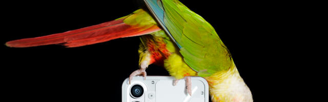 London-based startup Nothing launches Phone (1) to take on Apple