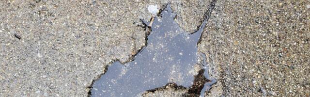 Chicago’s Famous Rat-Shaped Hole Is Actually a Squirrel