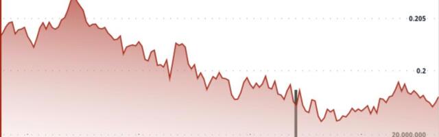 DOGE Trading Desk Flows Hint Bottoming. Watch $0.214 Flip for Momentum Trigger